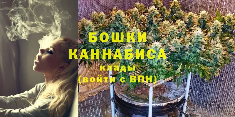 мориарти клад  хочу наркоту  hydra зеркало  Бор  Бошки Шишки White Widow 